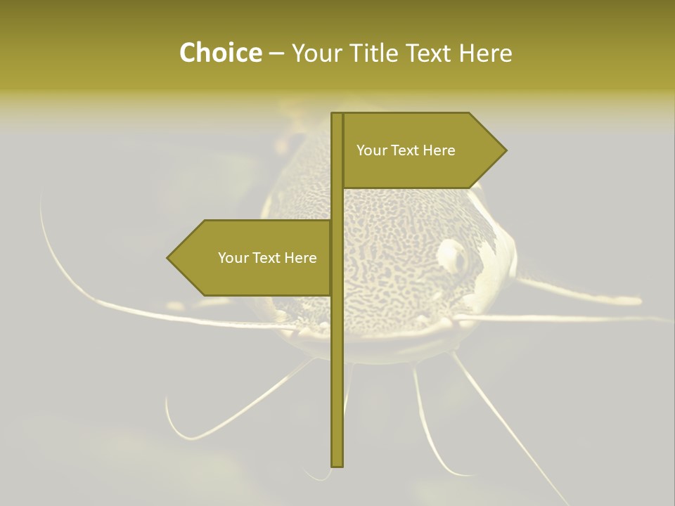 Aquarium Nature Tropical PowerPoint Template