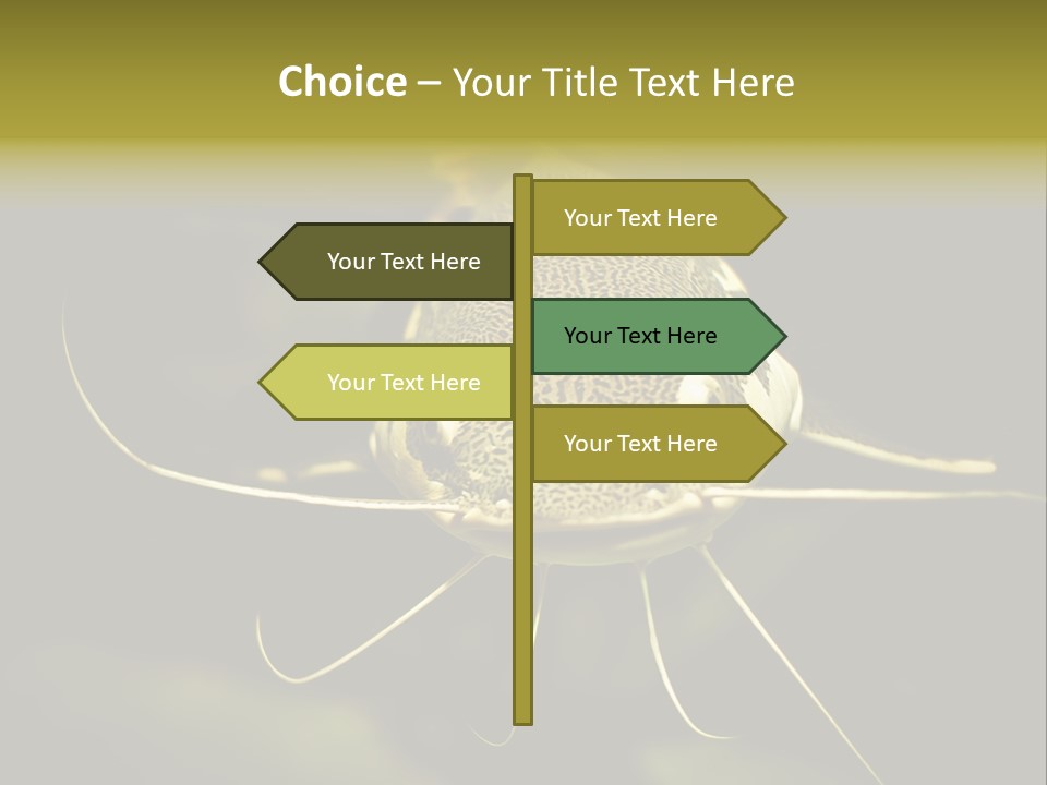 Aquarium Nature Tropical PowerPoint Template