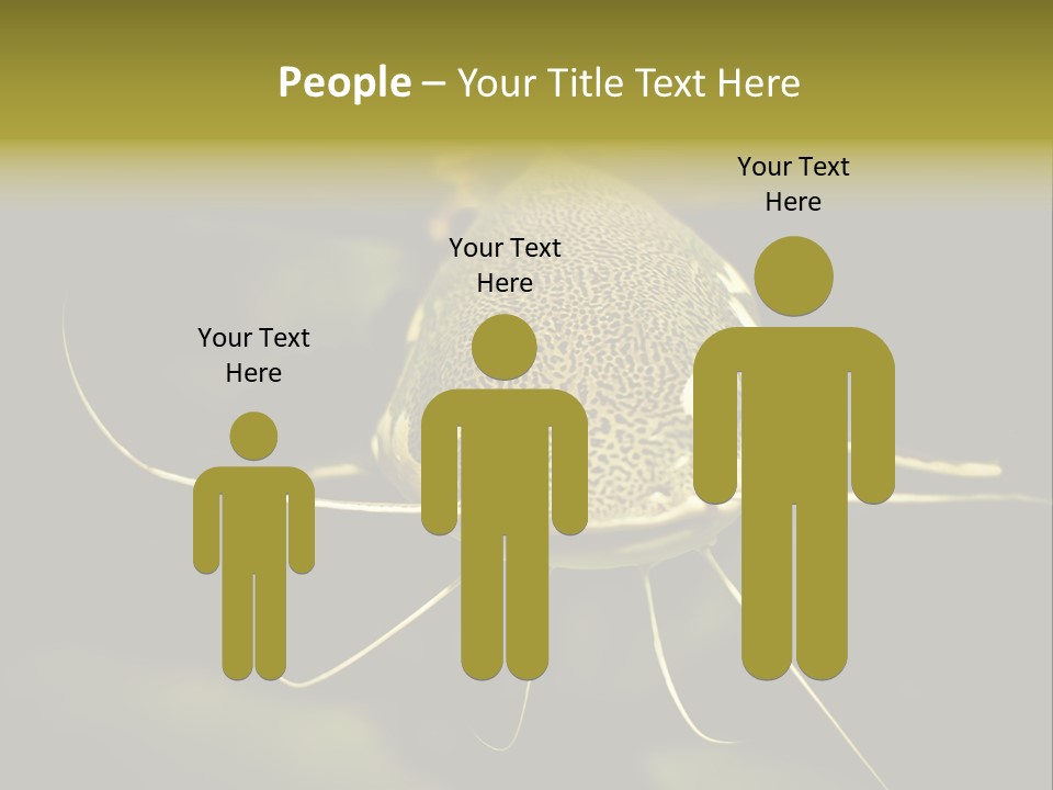 Aquarium Nature Tropical PowerPoint Template