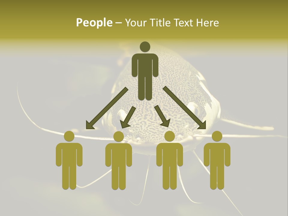 Aquarium Nature Tropical PowerPoint Template