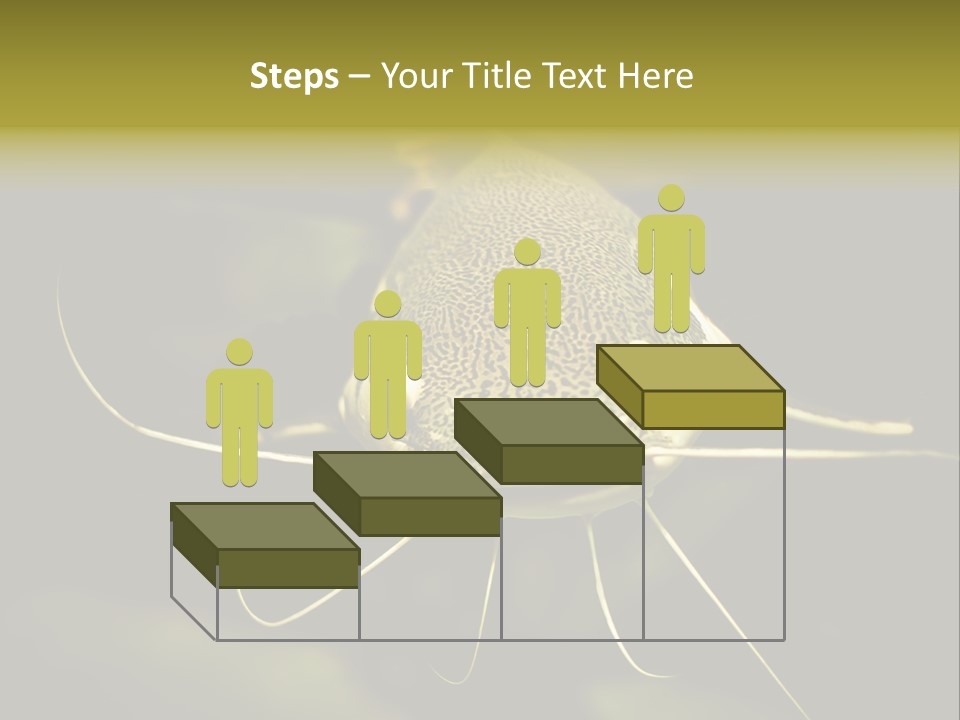 Aquarium Nature Tropical PowerPoint Template