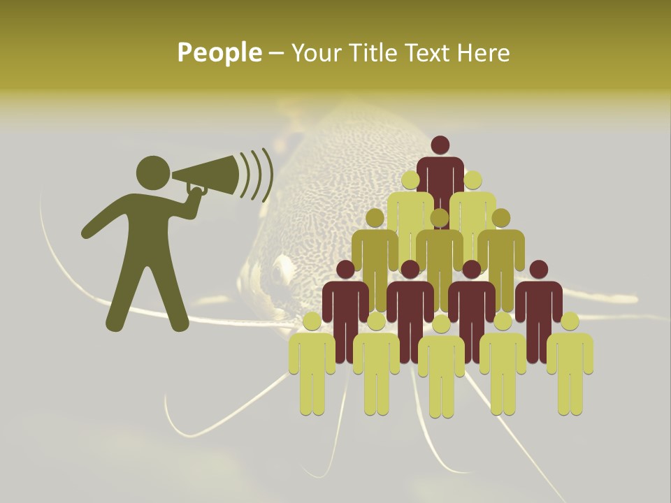 Aquarium Nature Tropical PowerPoint Template