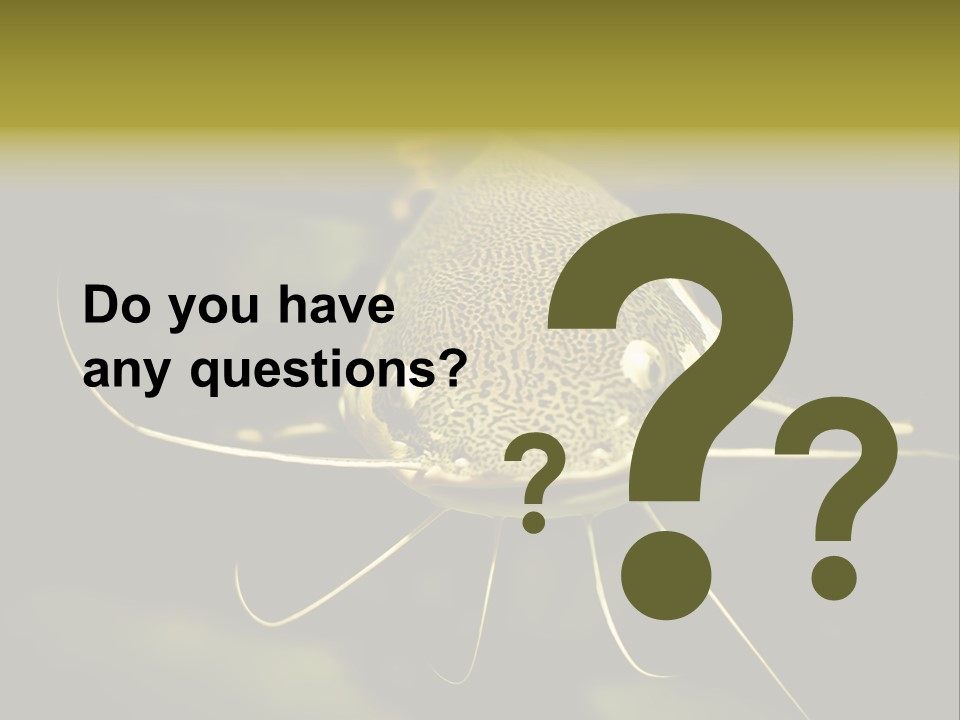 Aquarium Nature Tropical PowerPoint Template