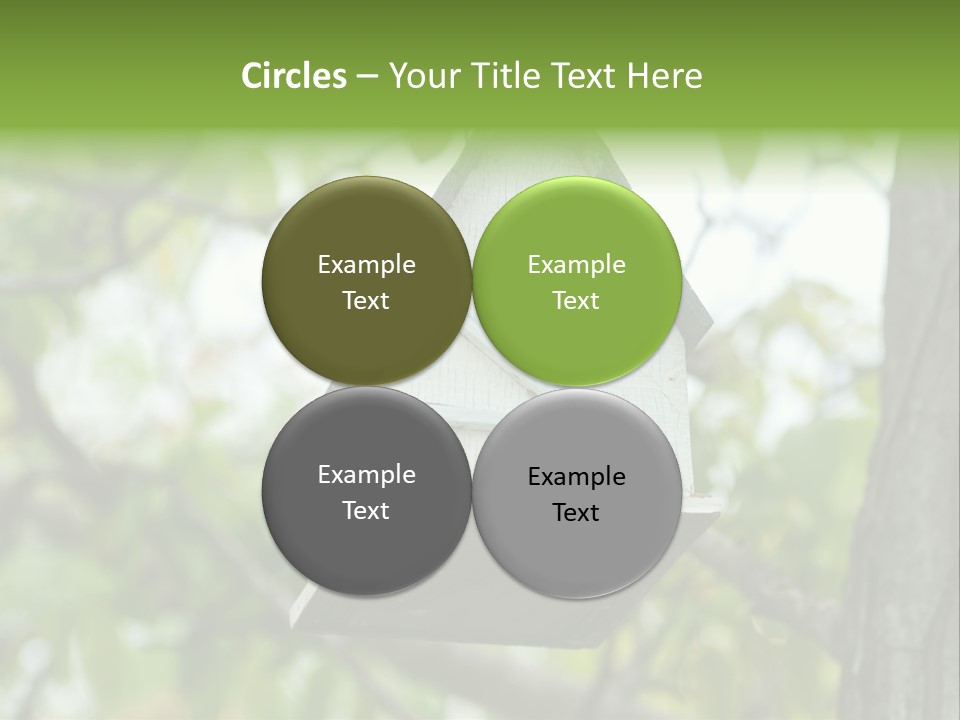 Tree Cute White PowerPoint Template