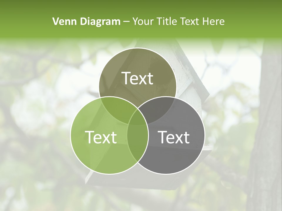 Tree Cute White PowerPoint Template