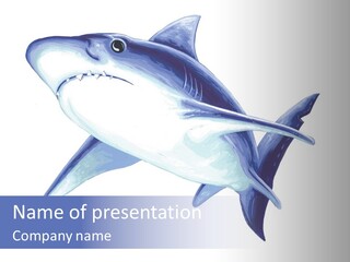 Fins Stroke Artwork PowerPoint Template