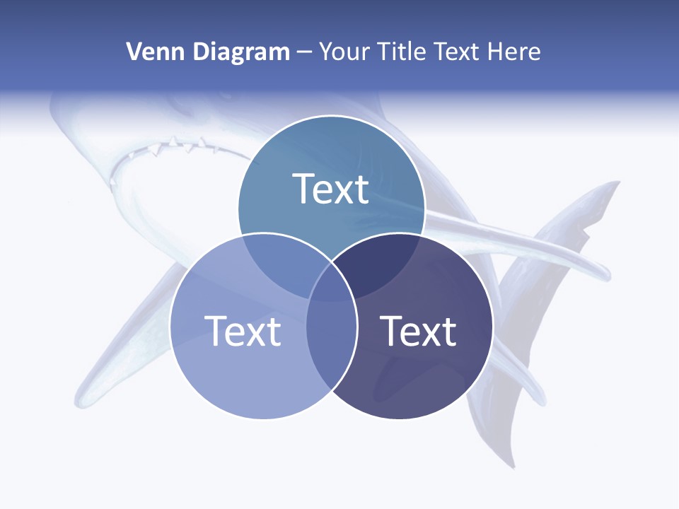 Fins Stroke Artwork PowerPoint Template