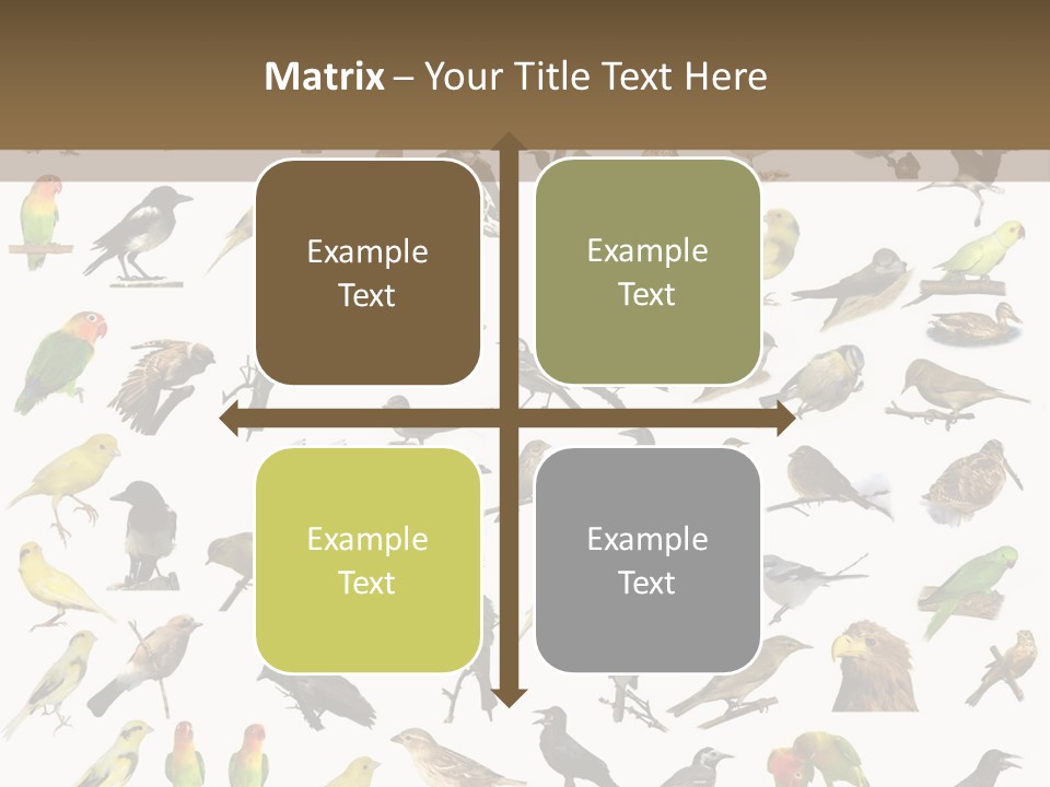 Tit Canary Wagtail PowerPoint Template