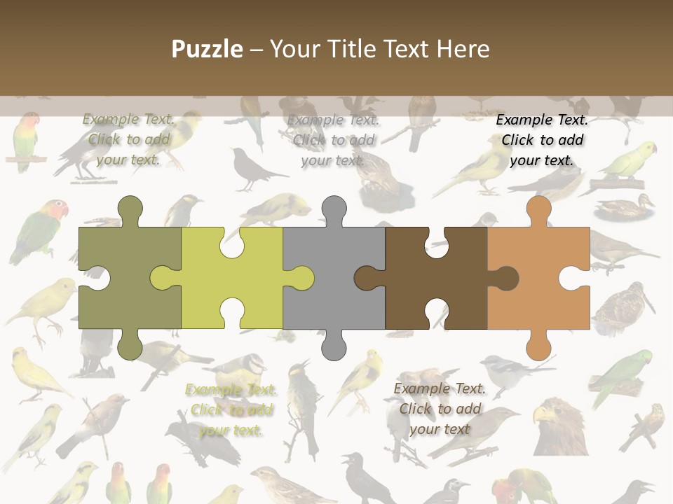 Tit Canary Wagtail PowerPoint Template