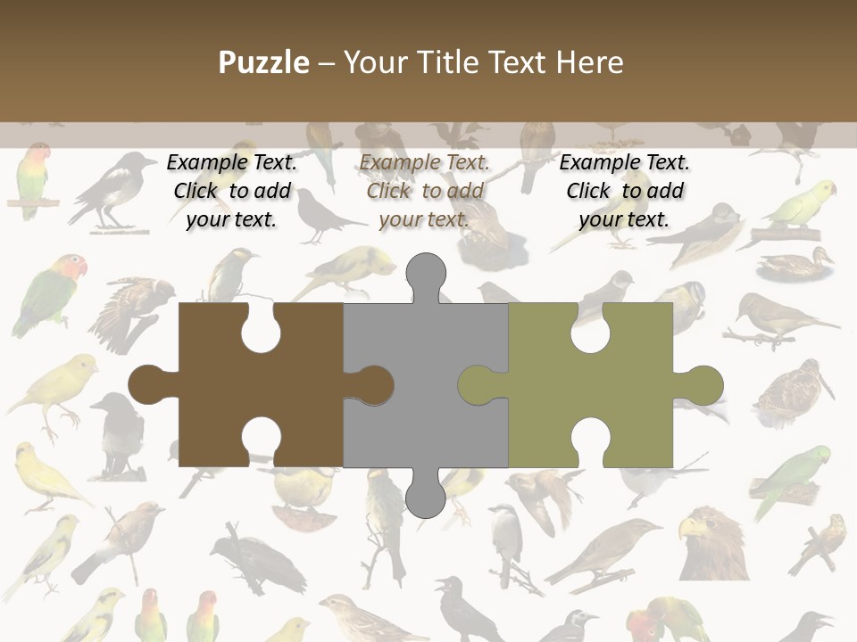 Tit Canary Wagtail PowerPoint Template