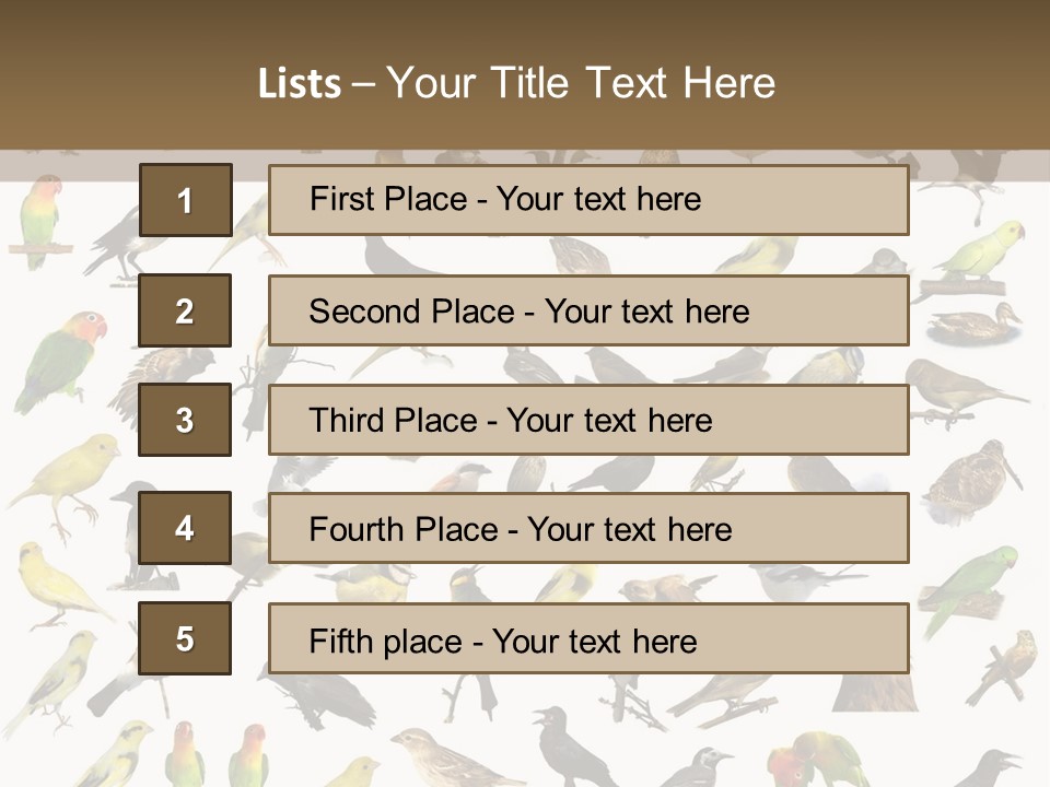 Tit Canary Wagtail PowerPoint Template