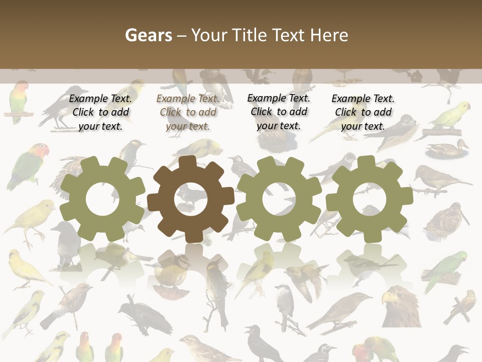 Tit Canary Wagtail PowerPoint Template