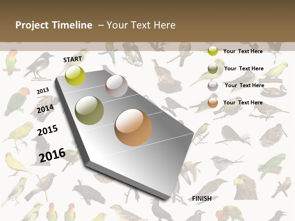 Tit Canary Wagtail PowerPoint Template