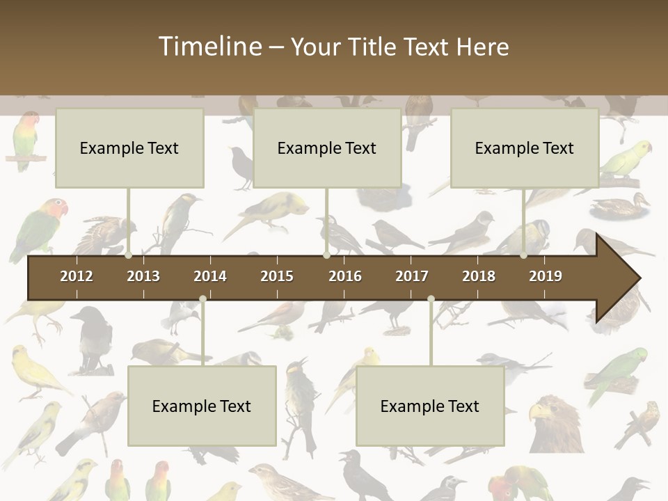 Tit Canary Wagtail PowerPoint Template