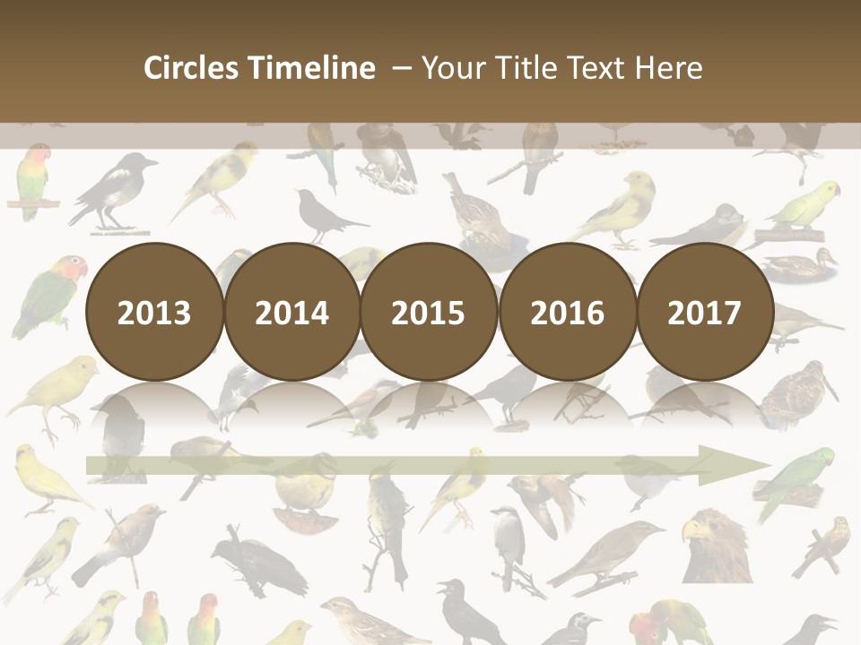 Tit Canary Wagtail PowerPoint Template