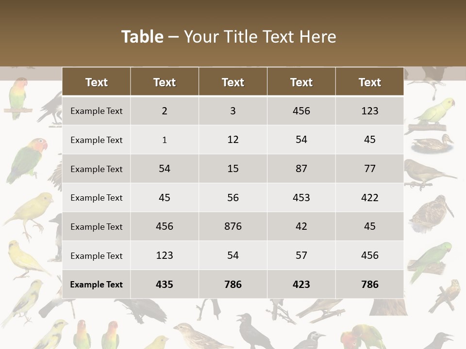 Tit Canary Wagtail PowerPoint Template
