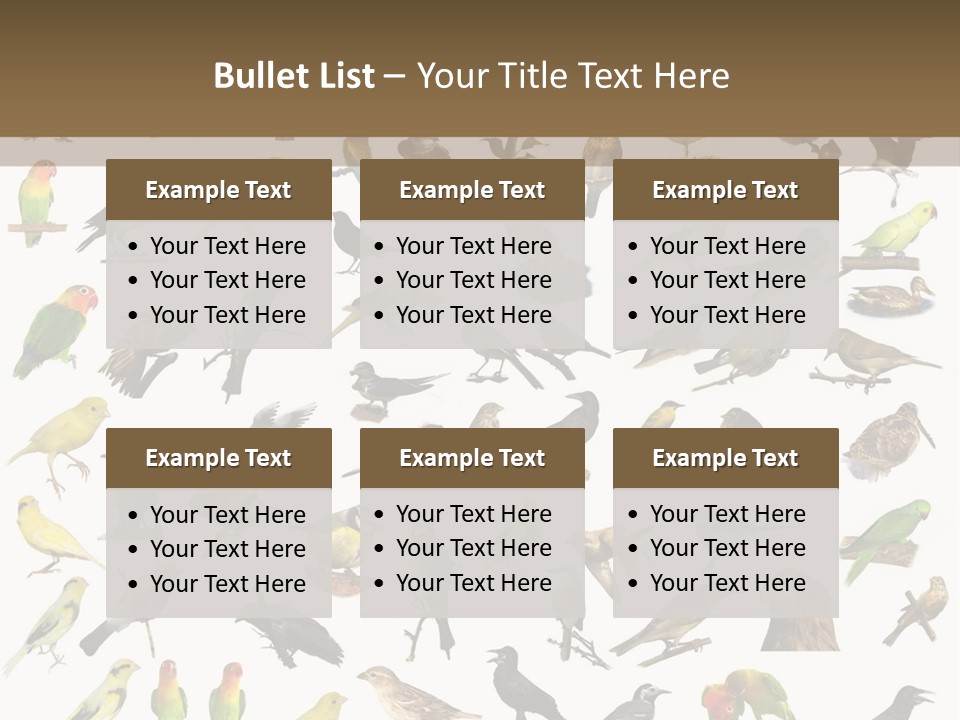 Tit Canary Wagtail PowerPoint Template