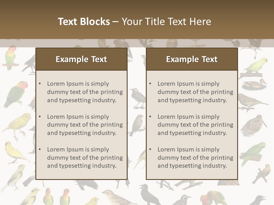 Tit Canary Wagtail PowerPoint Template