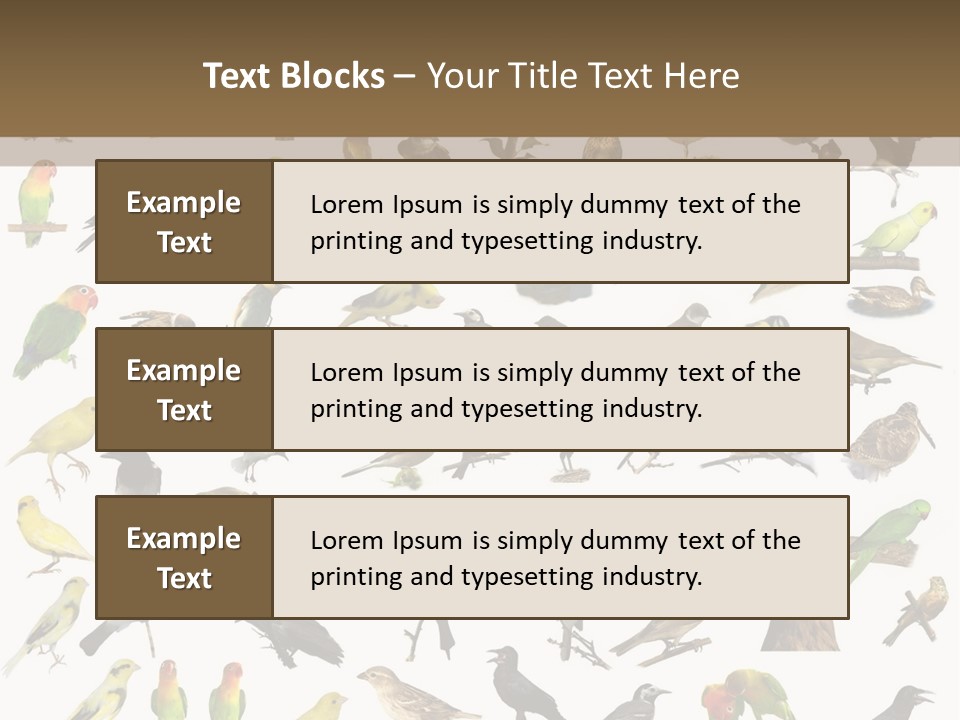 Tit Canary Wagtail PowerPoint Template