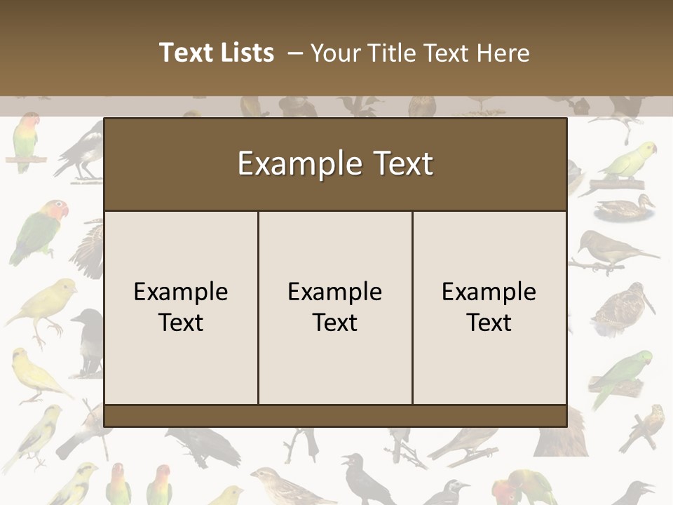 Tit Canary Wagtail PowerPoint Template
