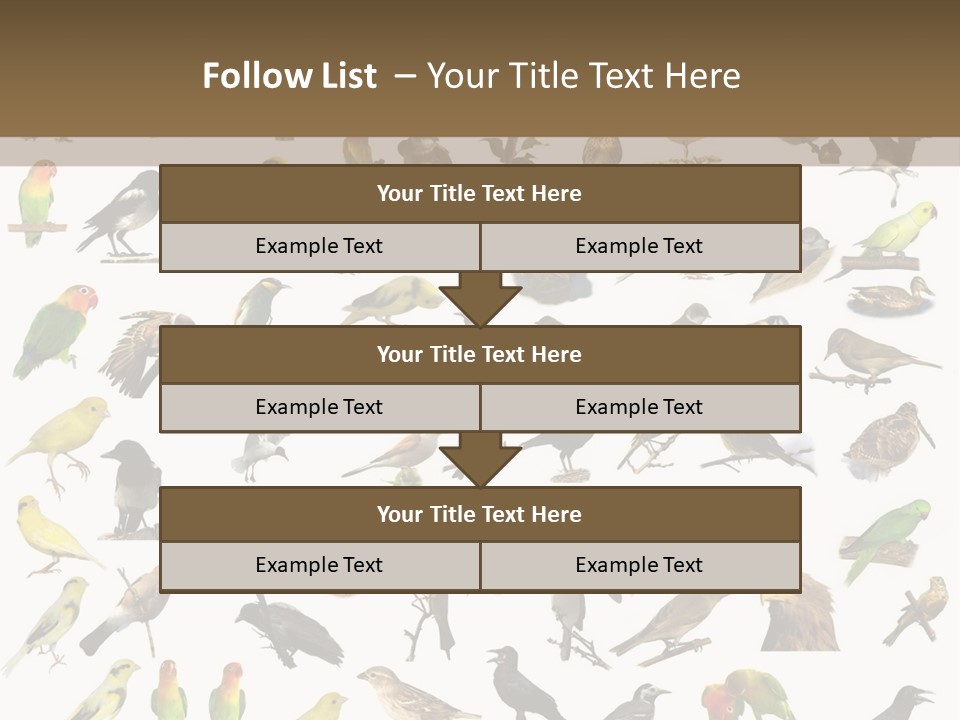 Tit Canary Wagtail PowerPoint Template