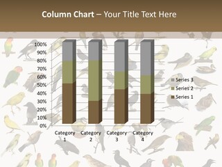 Tit Canary Wagtail PowerPoint Template