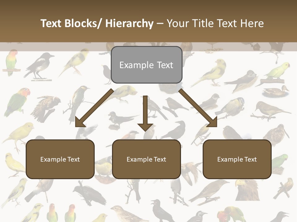 Tit Canary Wagtail PowerPoint Template