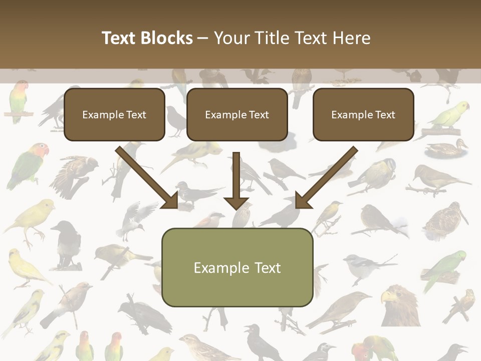 Tit Canary Wagtail PowerPoint Template