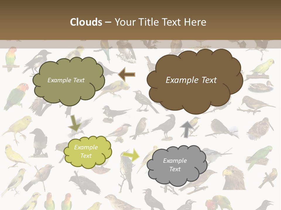 Tit Canary Wagtail PowerPoint Template