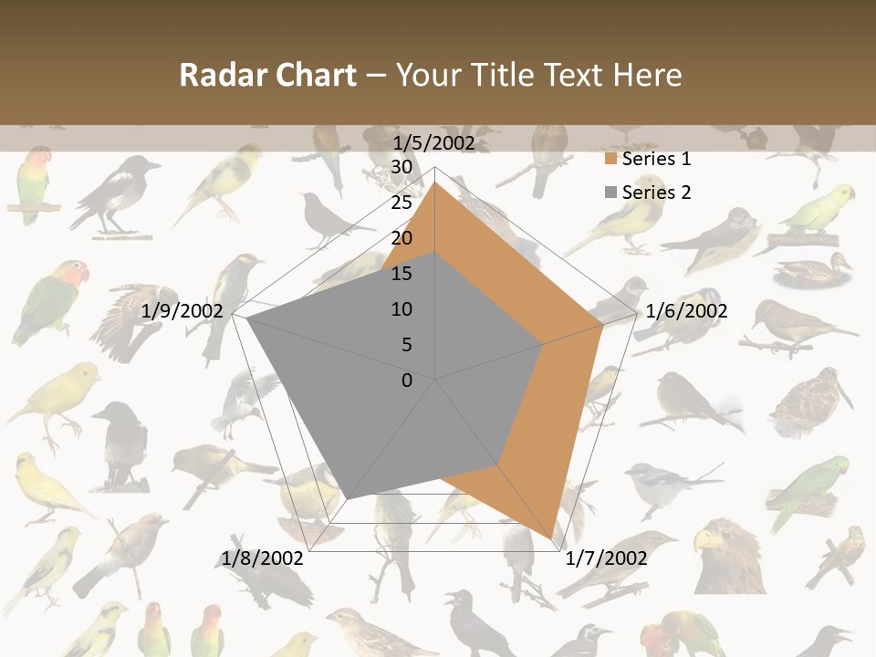 Tit Canary Wagtail PowerPoint Template