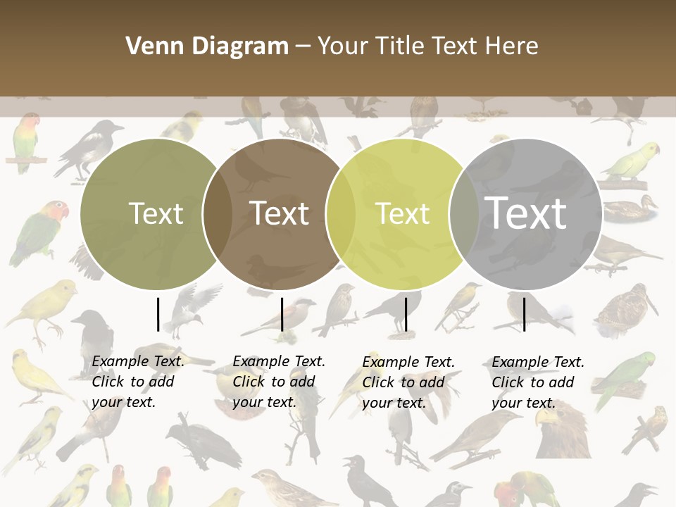 Tit Canary Wagtail PowerPoint Template