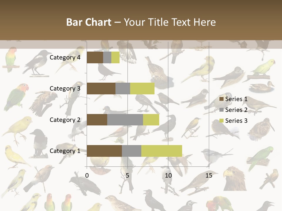 Tit Canary Wagtail PowerPoint Template