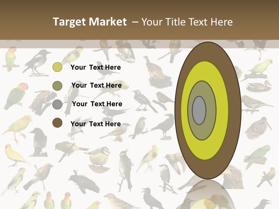 Tit Canary Wagtail PowerPoint Template
