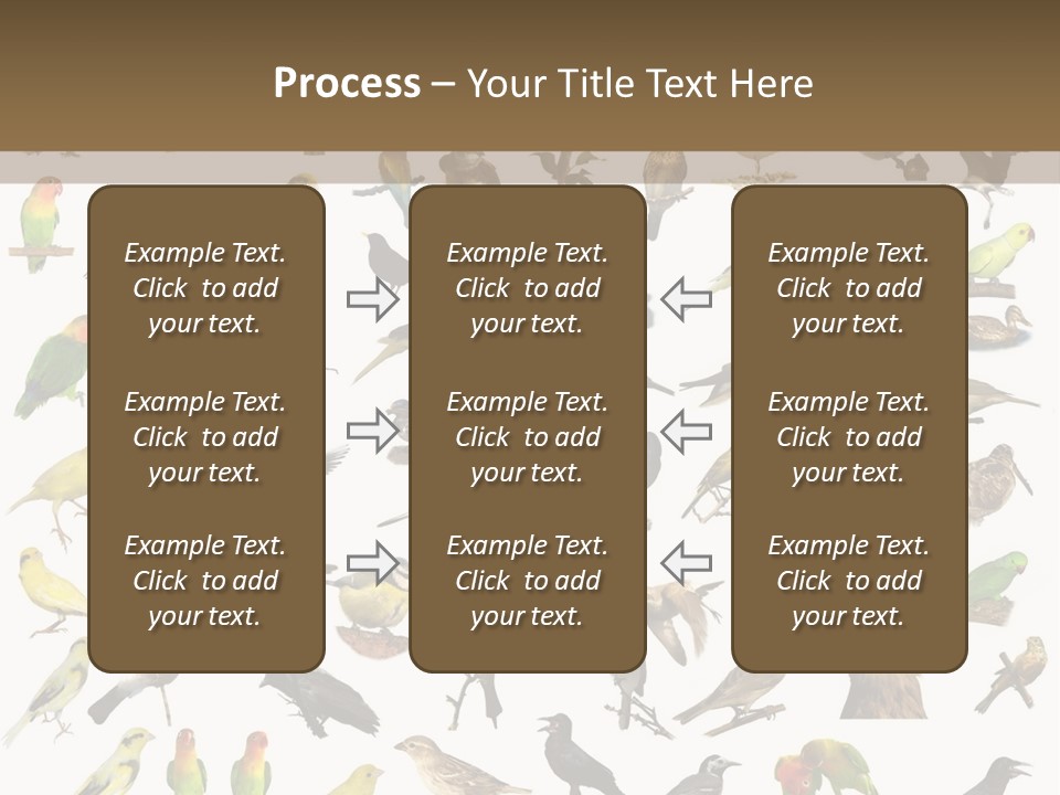 Tit Canary Wagtail PowerPoint Template