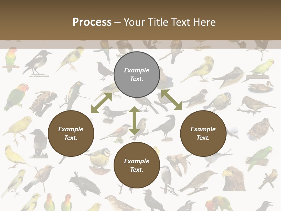 Tit Canary Wagtail PowerPoint Template
