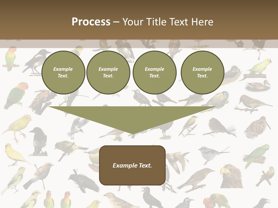 Tit Canary Wagtail PowerPoint Template