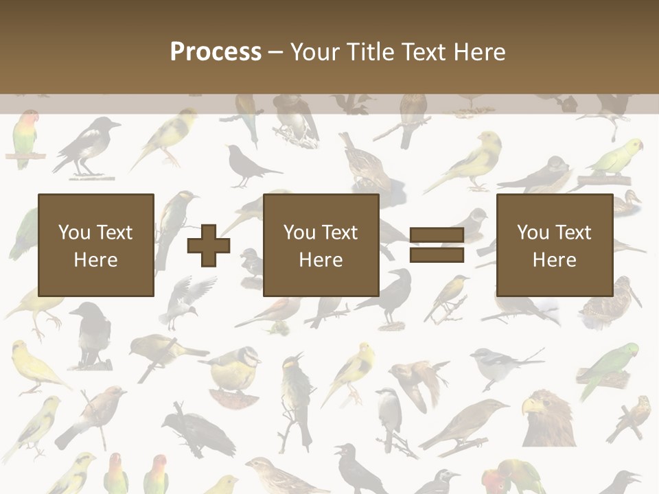 Tit Canary Wagtail PowerPoint Template