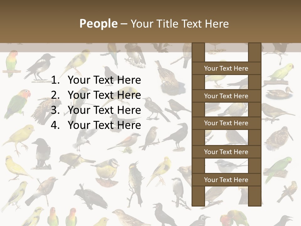 Tit Canary Wagtail PowerPoint Template