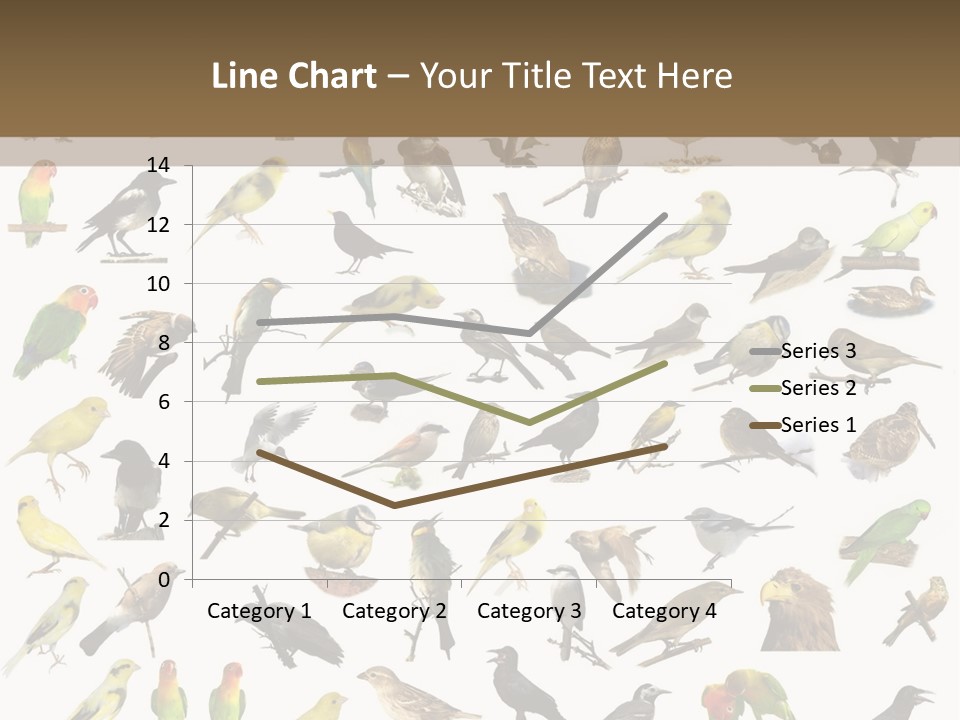 Tit Canary Wagtail PowerPoint Template