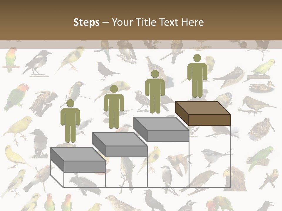 Tit Canary Wagtail PowerPoint Template