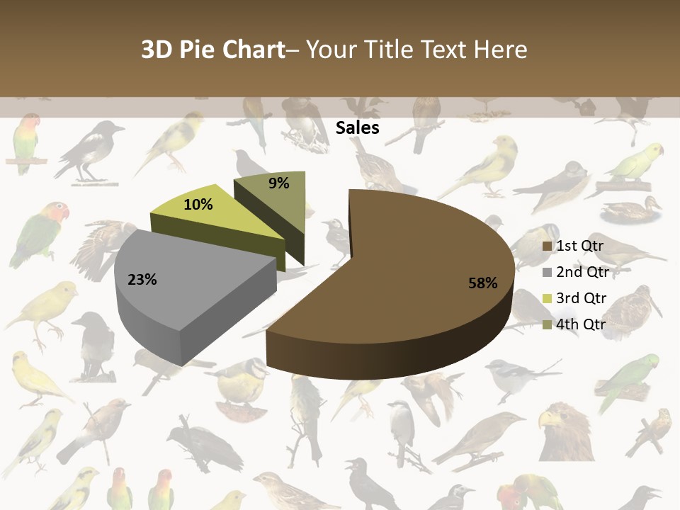 Tit Canary Wagtail PowerPoint Template
