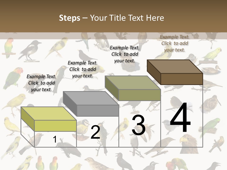 Tit Canary Wagtail PowerPoint Template