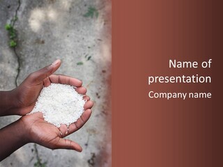 A Person Holding A White Substance In Their Hands PowerPoint Template