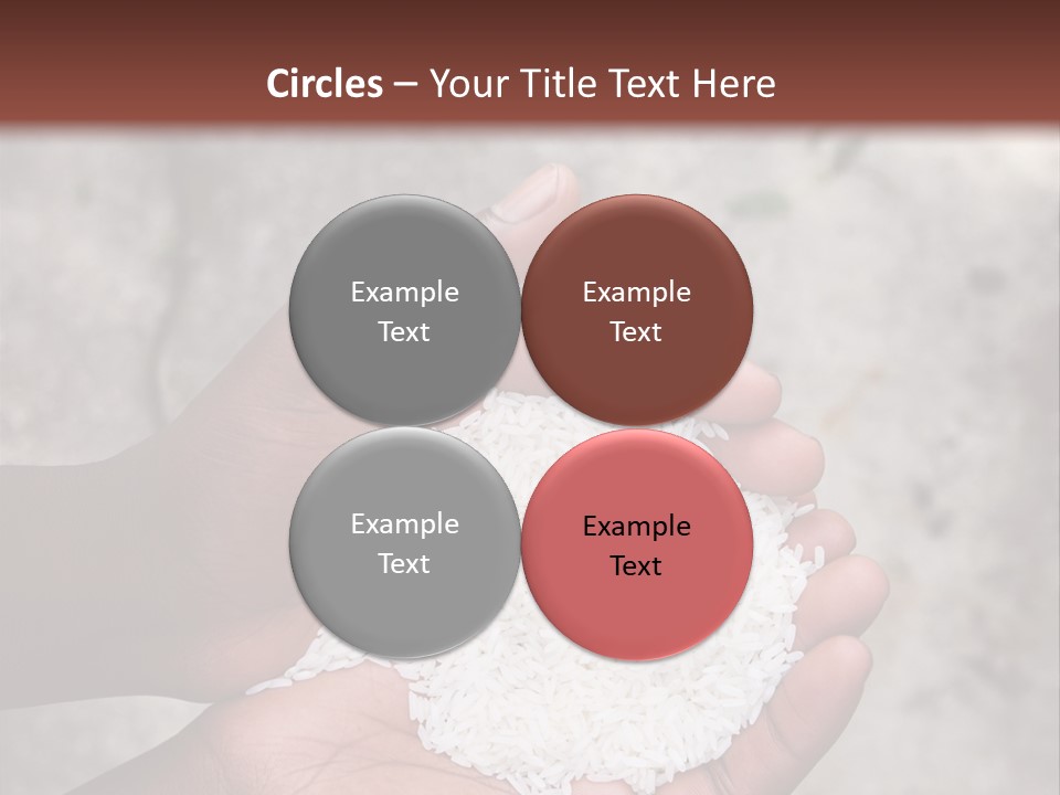 A Person Holding A White Substance In Their Hands PowerPoint Template