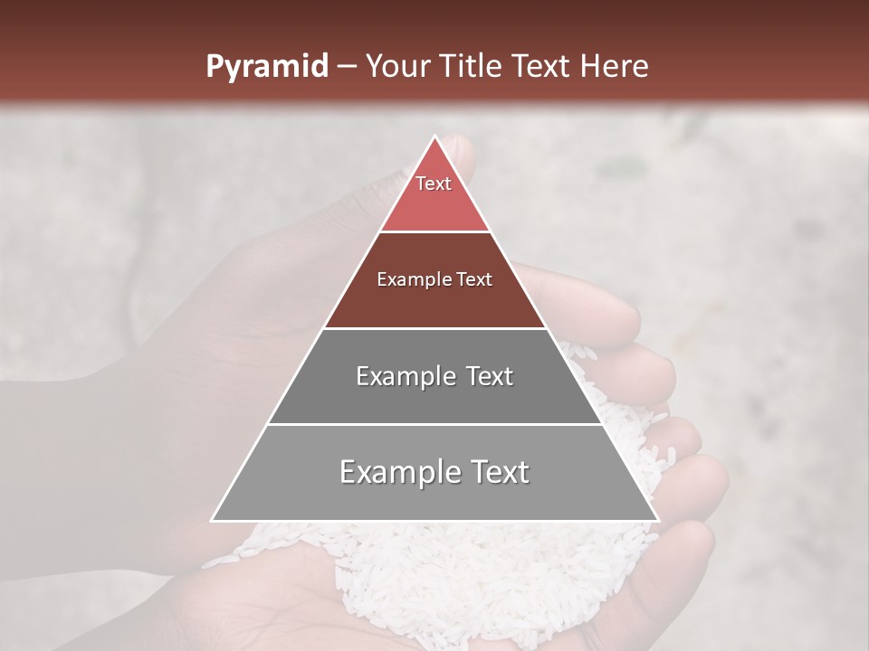 A Person Holding A White Substance In Their Hands PowerPoint Template