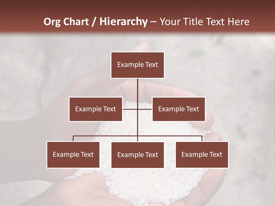 A Person Holding A White Substance In Their Hands PowerPoint Template