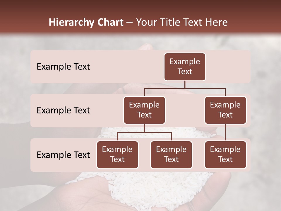A Person Holding A White Substance In Their Hands PowerPoint Template