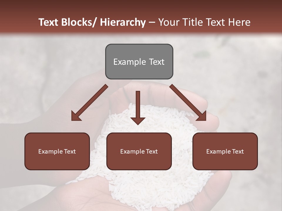 A Person Holding A White Substance In Their Hands PowerPoint Template