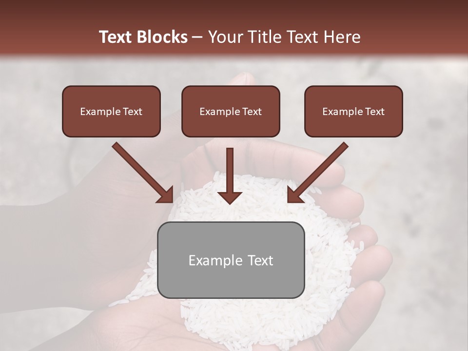 A Person Holding A White Substance In Their Hands PowerPoint Template