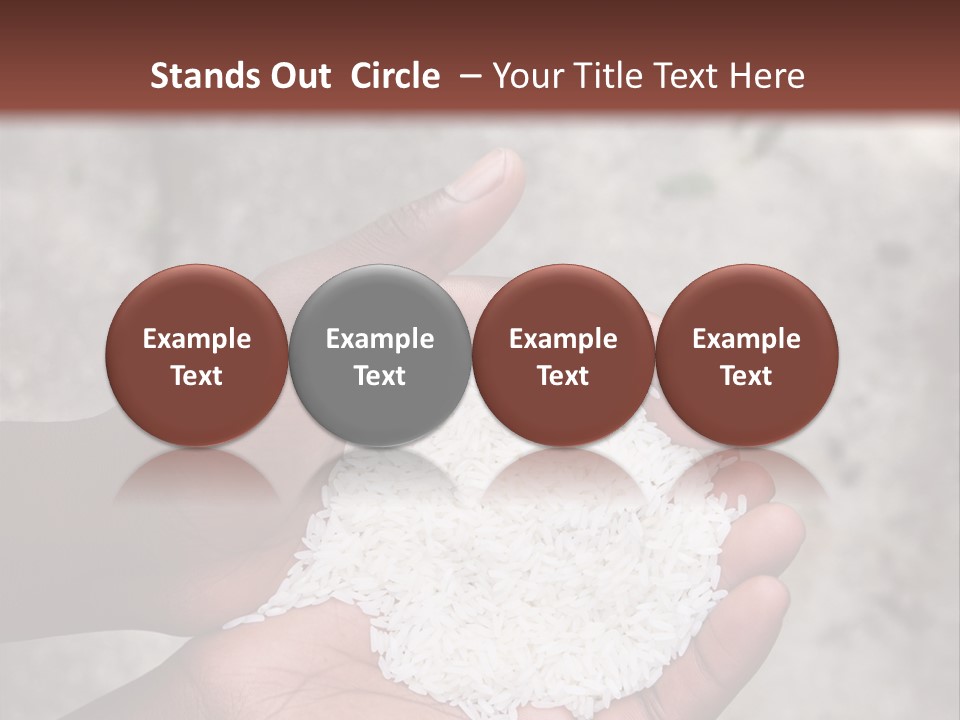 A Person Holding A White Substance In Their Hands PowerPoint Template